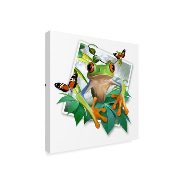 Howard Robinson 'Green Frog Photograph' Canvas Art,18x18